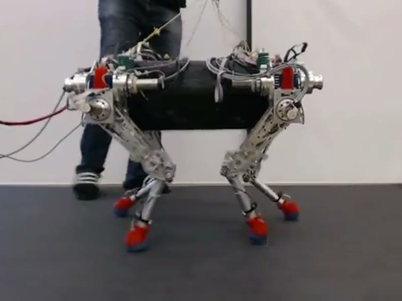 gehring2017quadrupedal.jpg